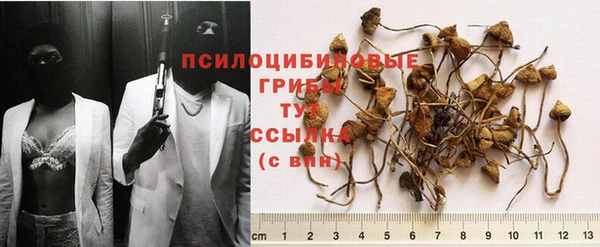 прущая мука Алексин