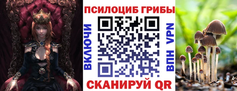 Псилоцибиновые грибы MAGIC MUSHROOMS  KRAKEN сайт  Кропоткин 